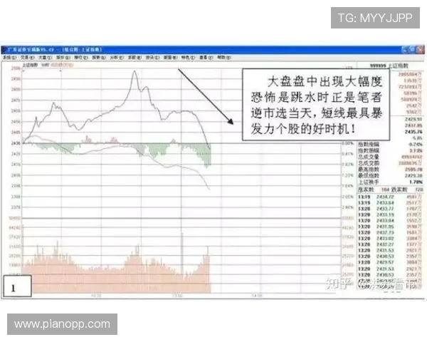 体育真人盘口的风险控制策略帮助玩家降低投注风险提升收益